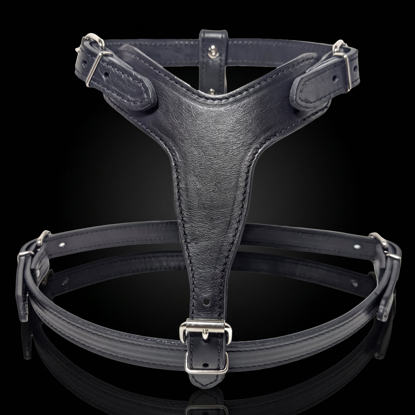 A black leather dog harness with silver metal buckles, displayed on a reflective black background.