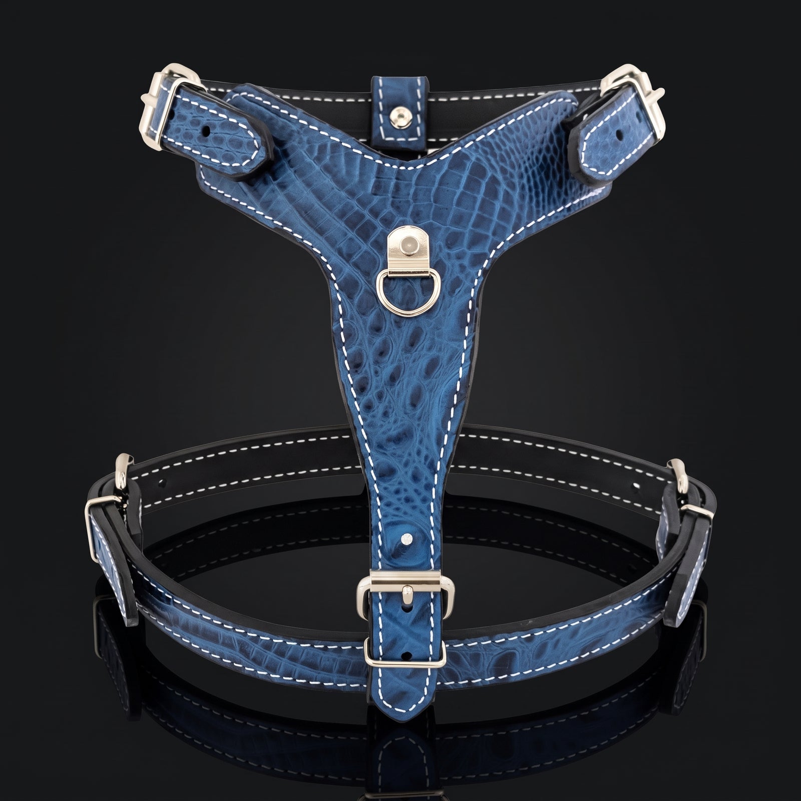 A blue crocodile-embossed leather dog harness with silver metal hardware and white contrast stitching, displayed on a reflective black background.