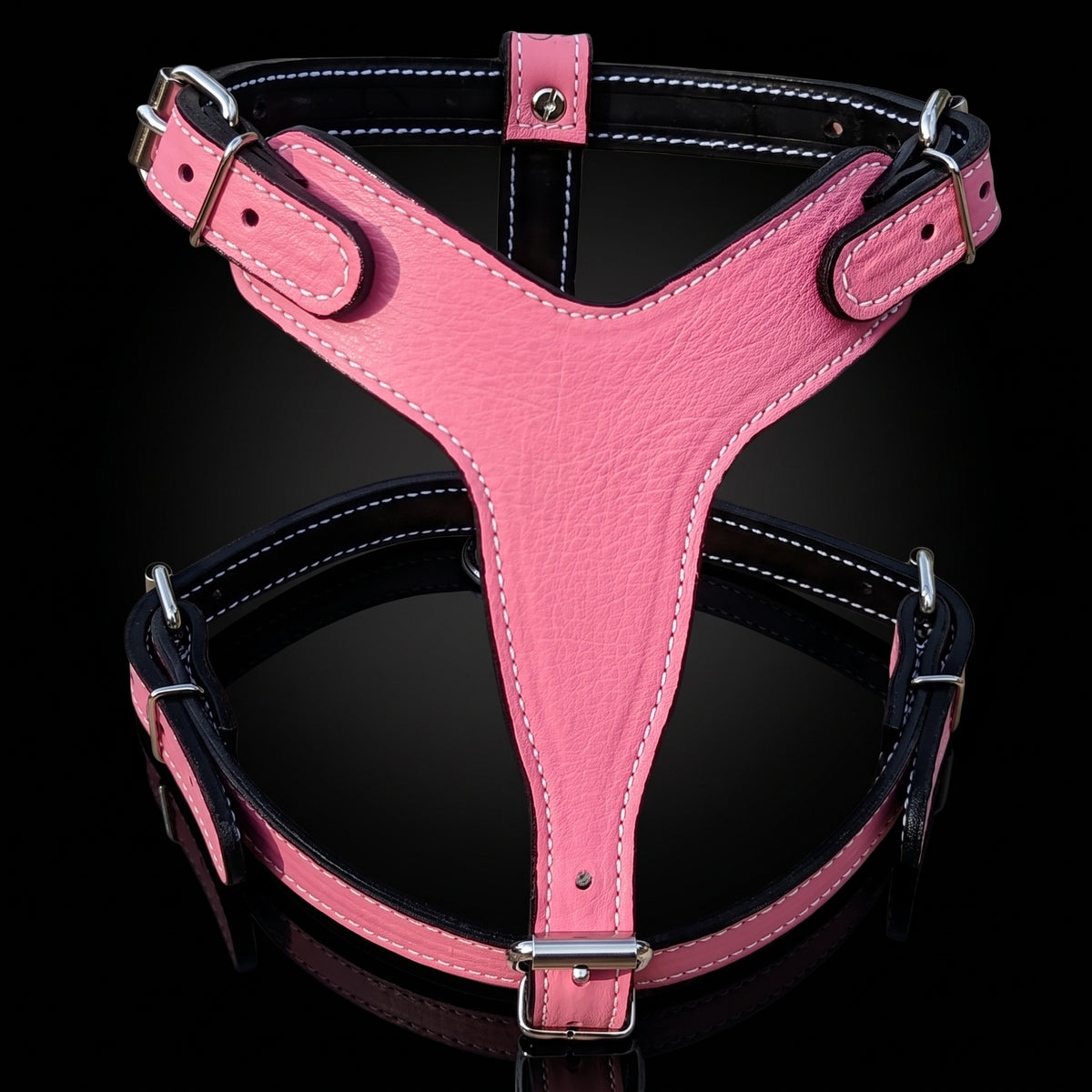 Pink and black leather dog harness with silver metal hardware, shown on a reflective black background.