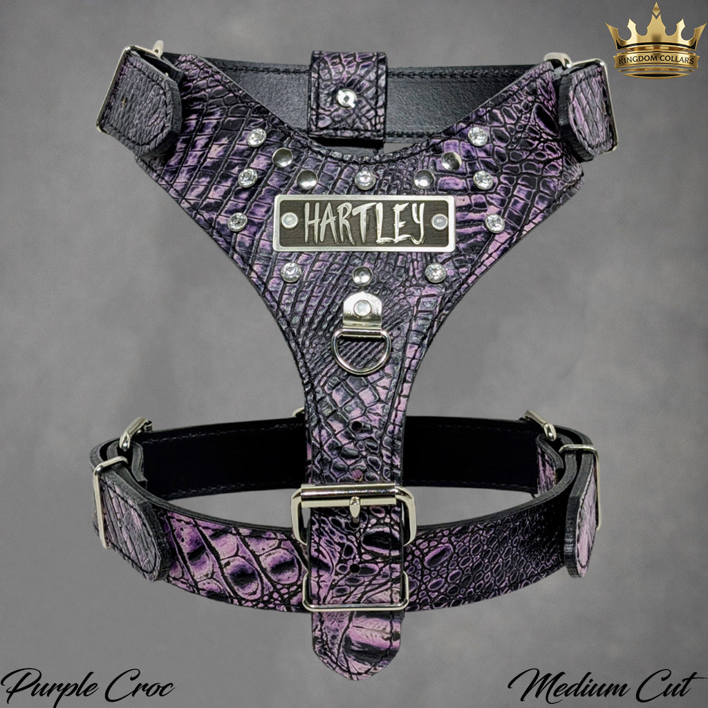 Y01 - Custom Italian Leather Dog Harness with Crystal Gems & Engraved Name Plate