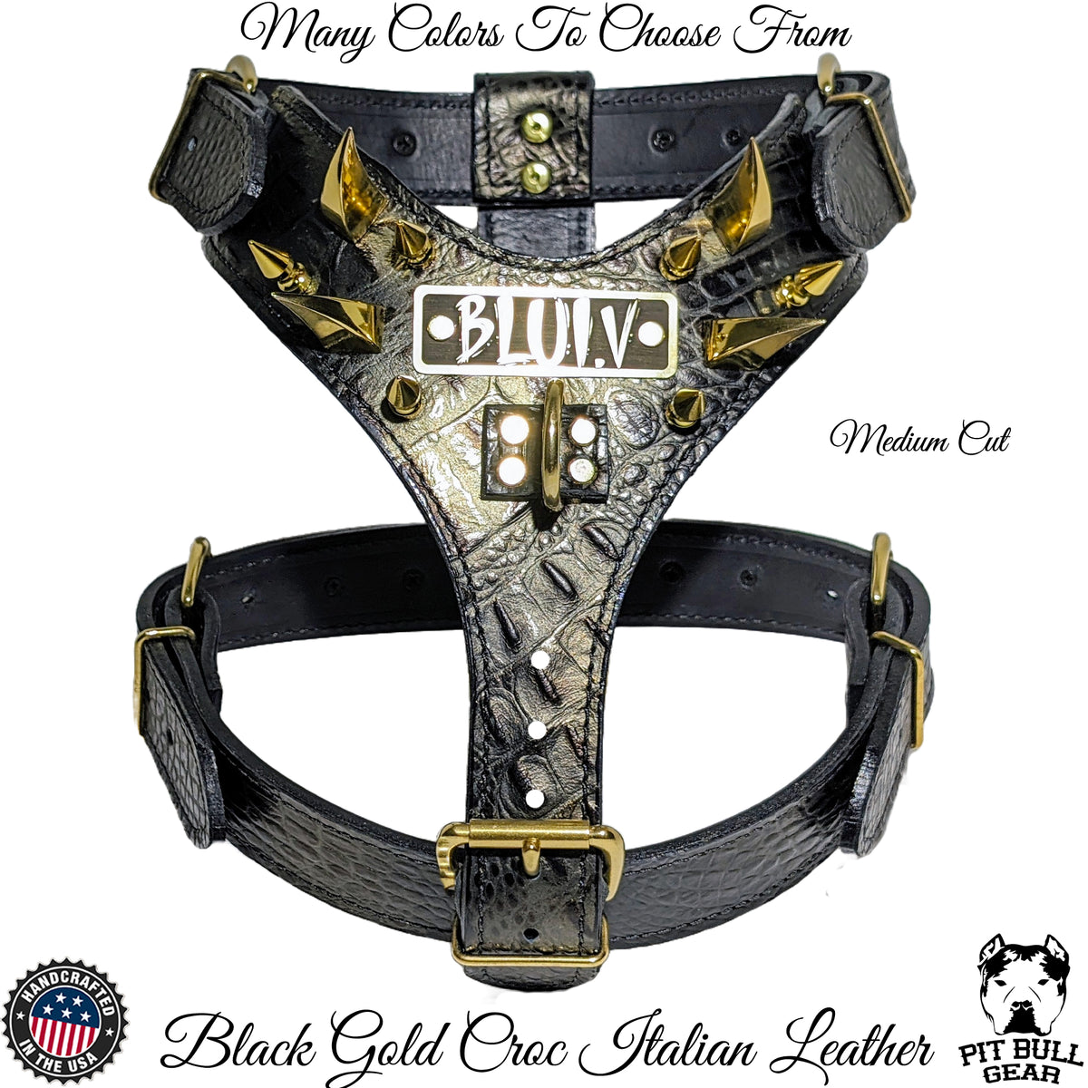 Y04 - Custom Leather Spiked Harness with Dragon Claw &amp; 1" Tree Spikes – Personalized Name Plate