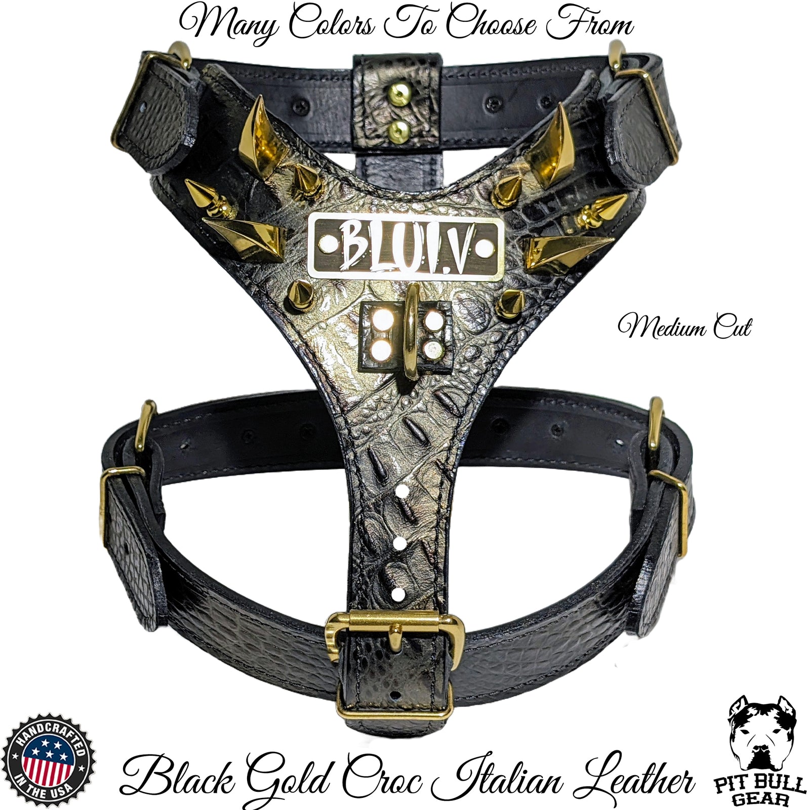 Y04 - Custom Leather Spiked Harness with Dragon Claw & 1" Tree Spikes – Personalized Name Plate