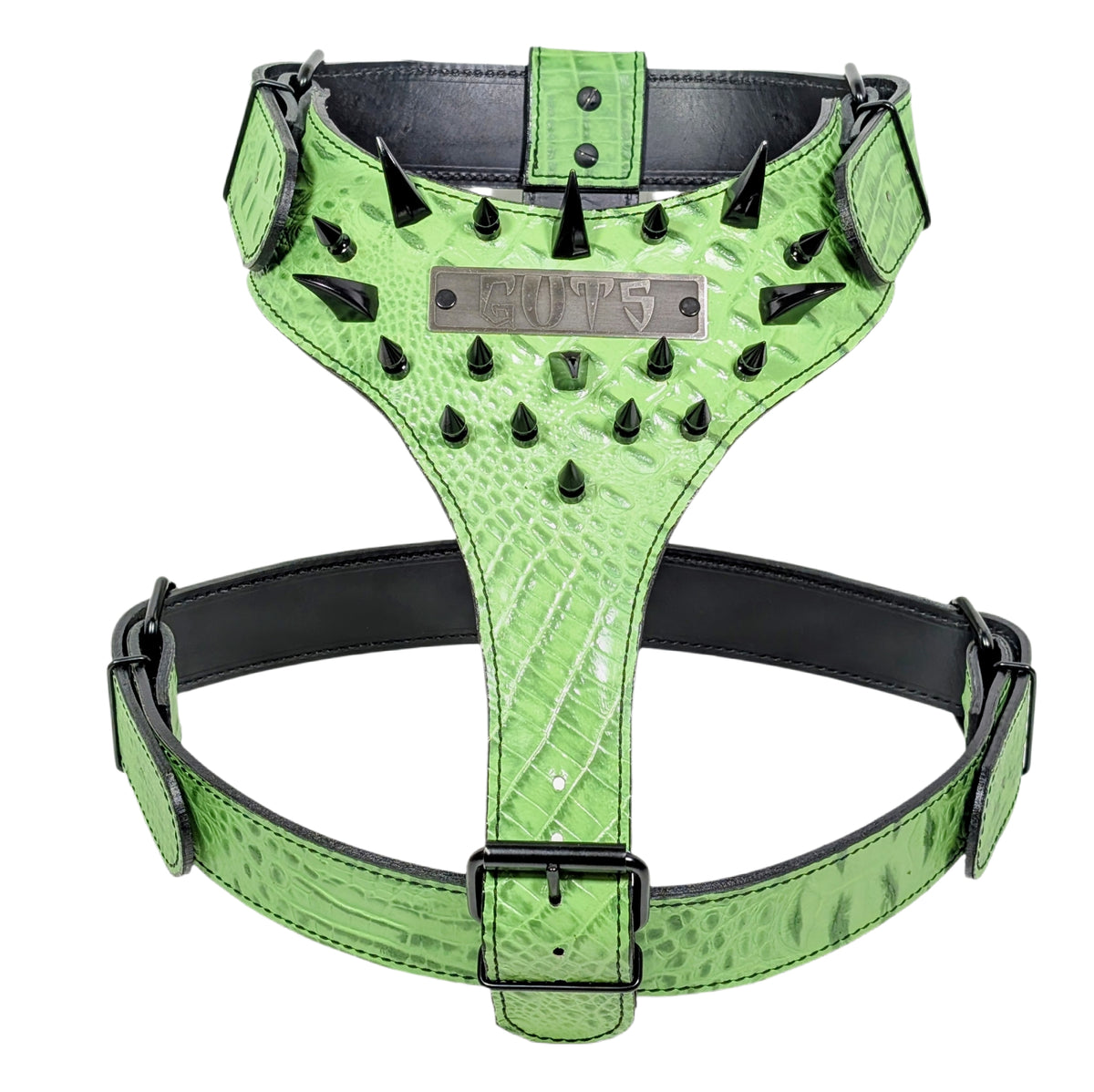 Y04 - Custom Leather Spiked Harness with Dragon Claw &amp; 1" Tree Spikes – Personalized Name Plate
