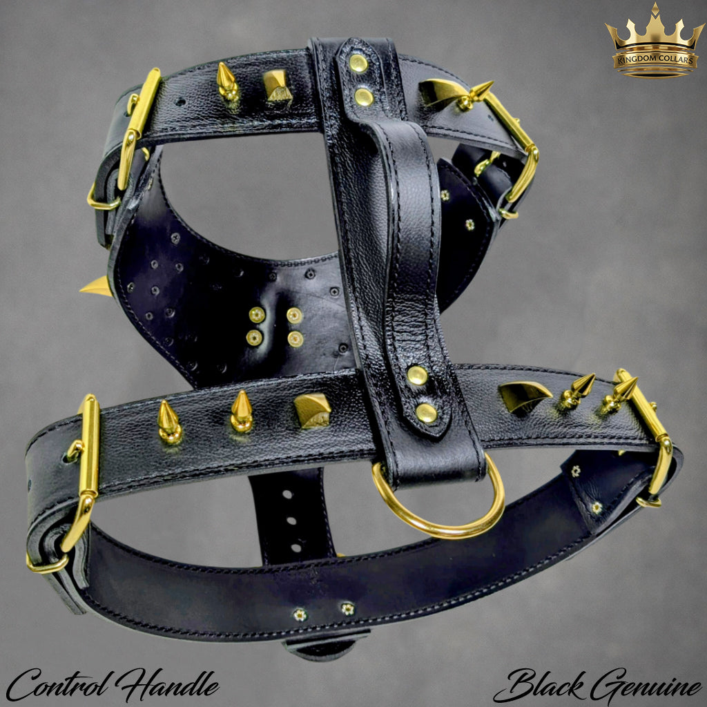 Arnés de cuero con pinchos para perros, resistente, personalizado, para perros grandes - Y26