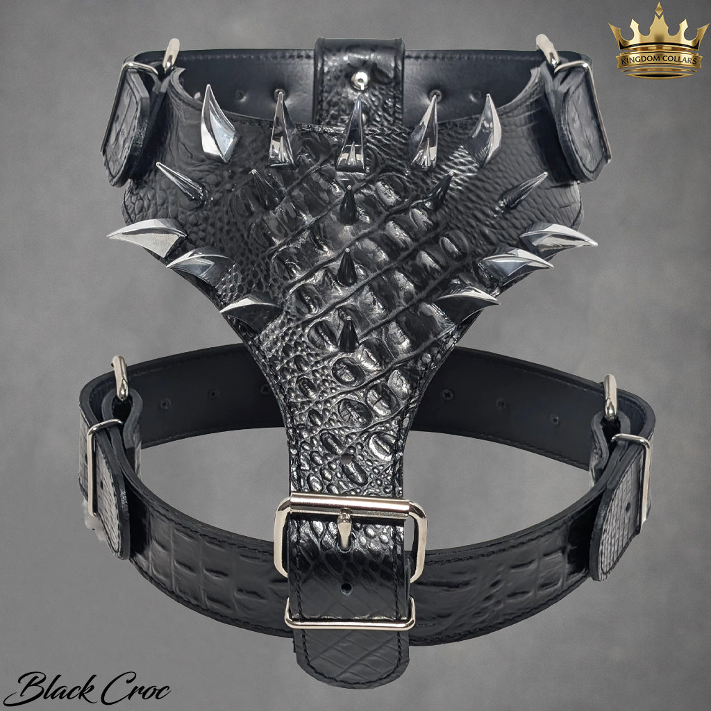 Black leather harness with spikes on a gray background