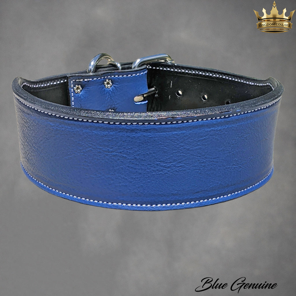 J25 - 2.5" Wide Leather Dog Collar