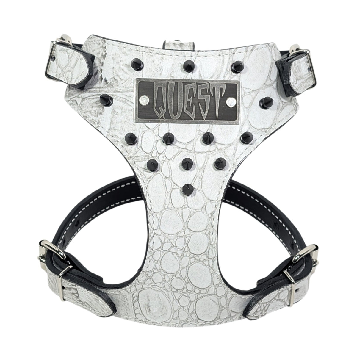 Dog harness with 'Quest' branding on a white background