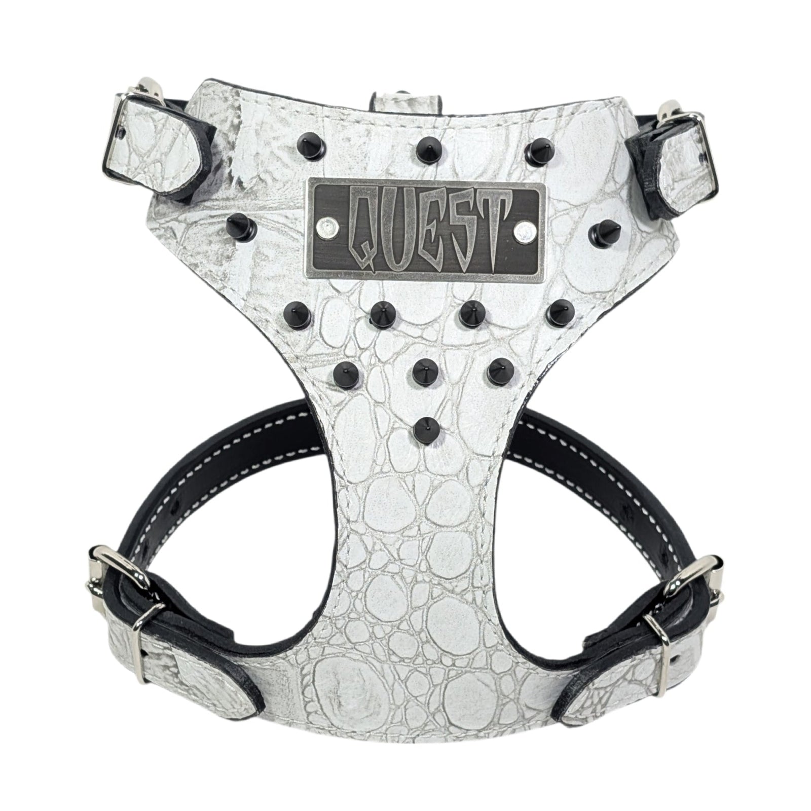 Dog harness with 'Quest' branding on a white background
