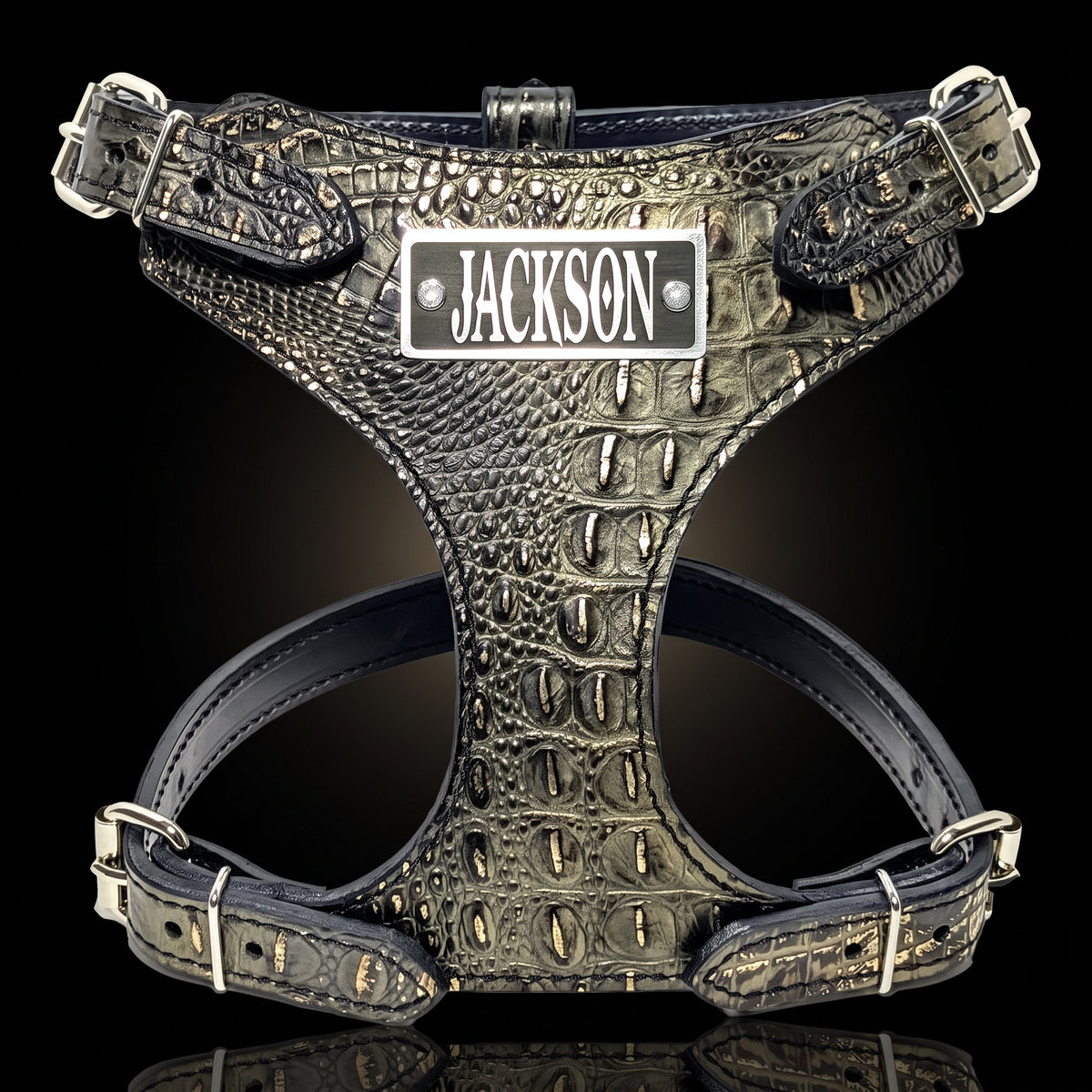 A black crocodile-embossed leather dog harness with silver hardware and a custom metal nameplate reading 'JACKSON', shown on a black reflective background.
