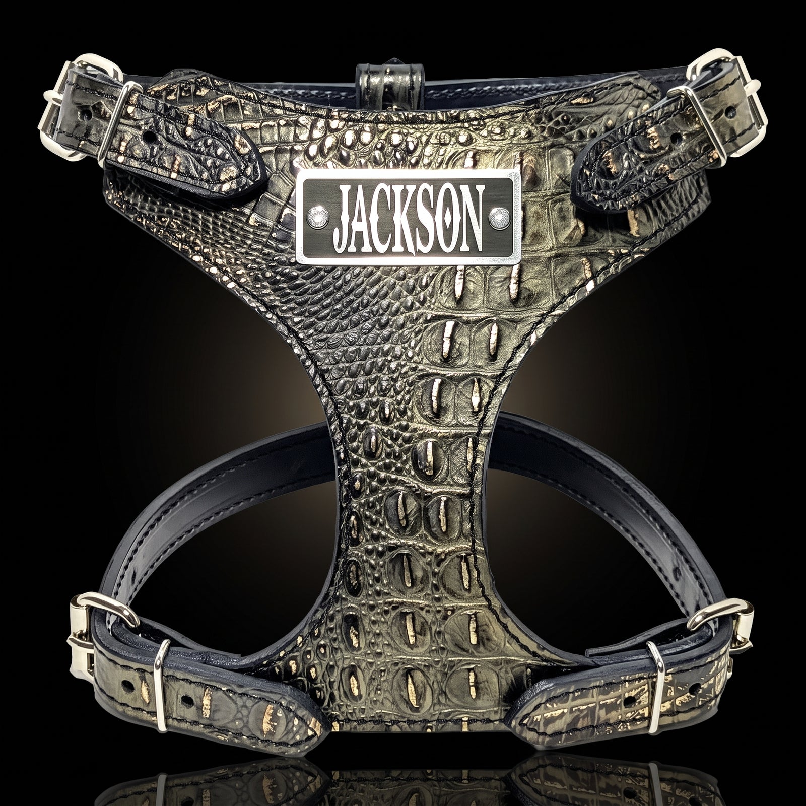 A black crocodile-embossed leather dog harness with silver hardware and a custom metal nameplate reading 'JACKSON', shown on a black reflective background.