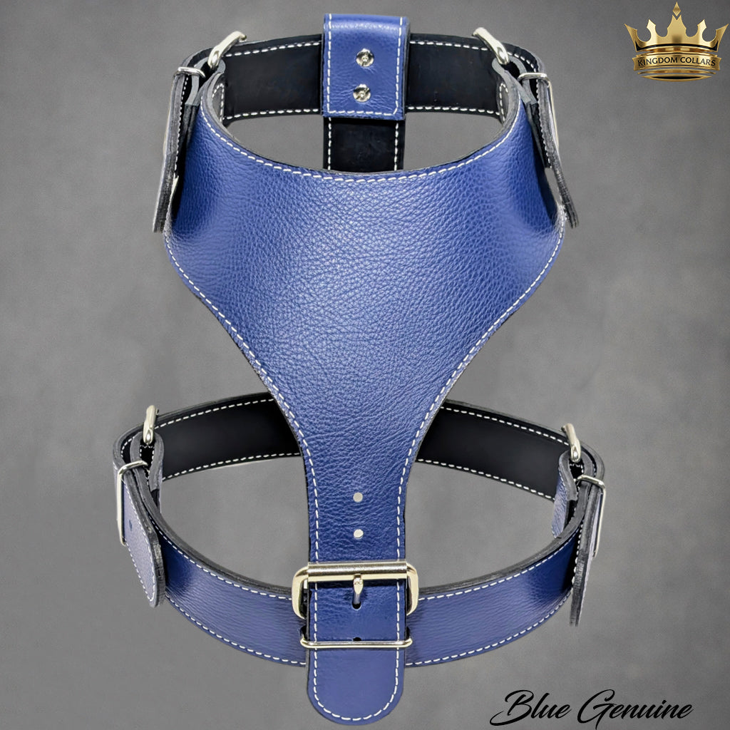 H1 - Custom Made Leather Dog Harness