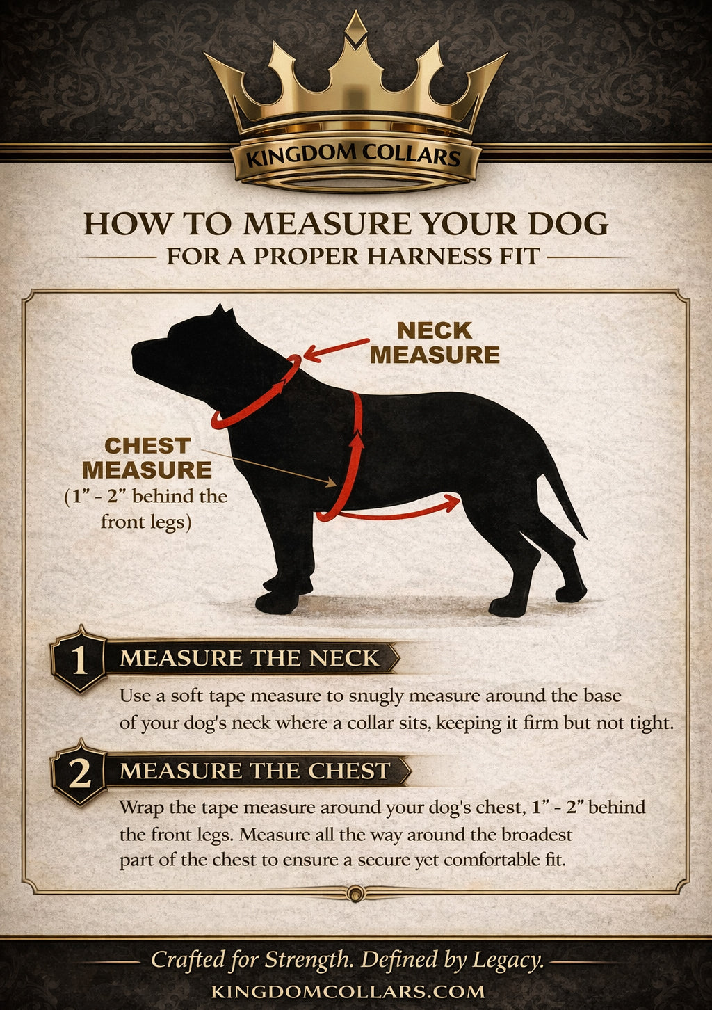 Instructional graphic on how to measure a dog for a proper harness fit, featuring Kingdom Collars branding.