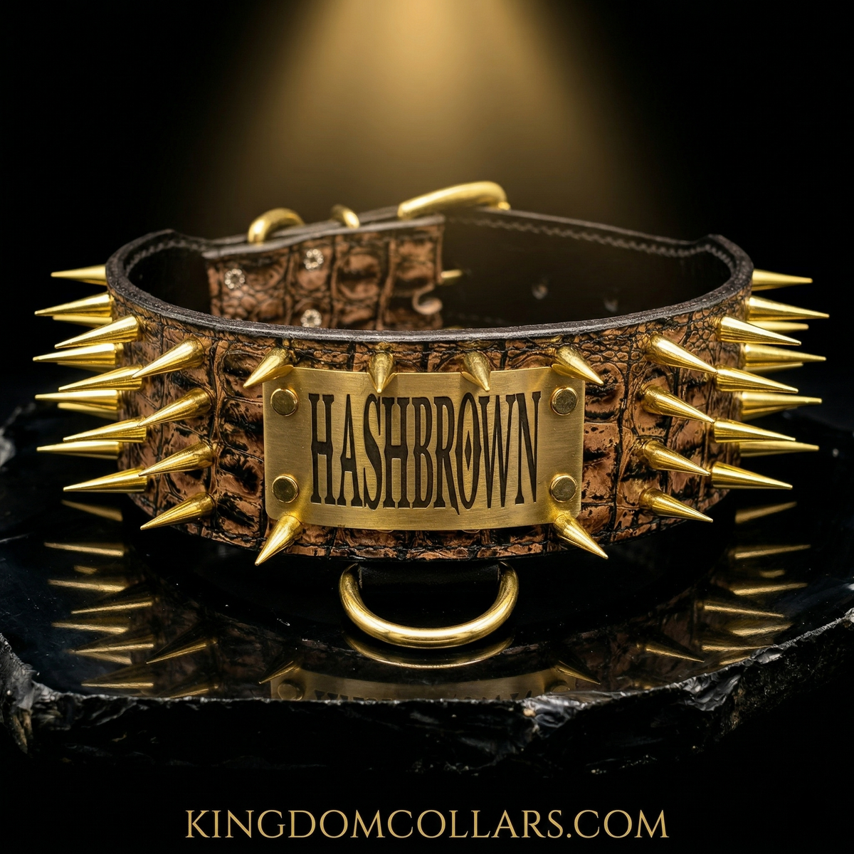 Dog collar with gold spikes and 'HASHBROWN' branding on a dark background