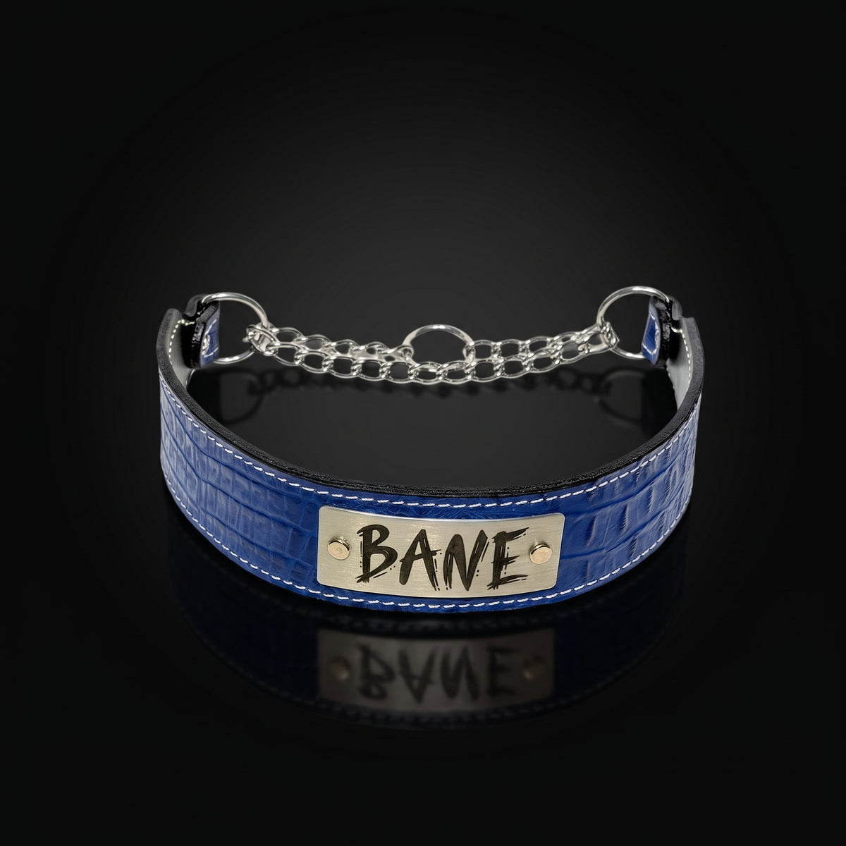A blue crocodile-embossed leather collar with a silver metal chain and a silver nameplate engraved with 'BANE', displayed on a reflective black surface.