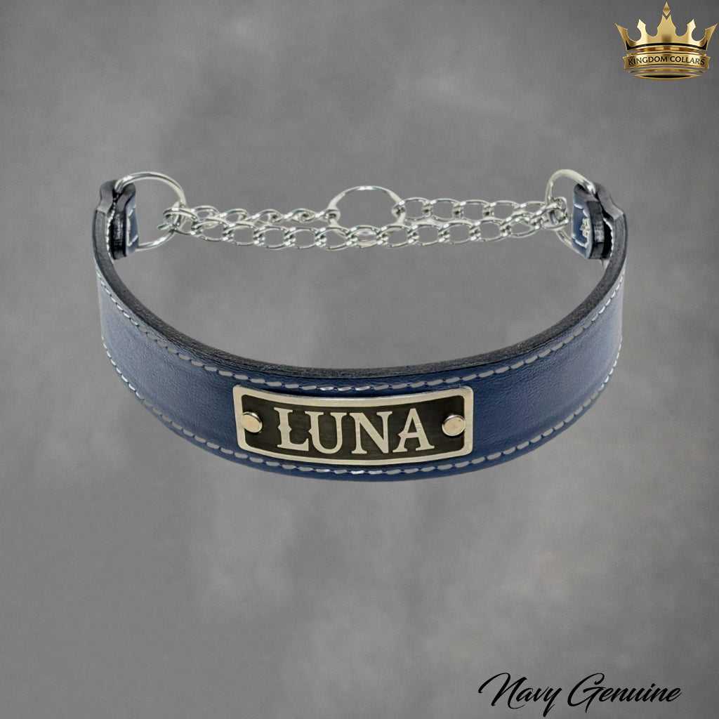 LM8N - 1.5" Leather Martingale Dog Collar Personalized Name Plate