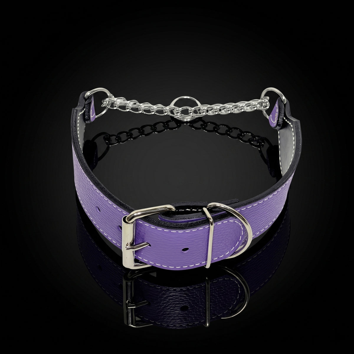 2" Wide Leather Martingale Buckle Training Dog Collar (LM9)