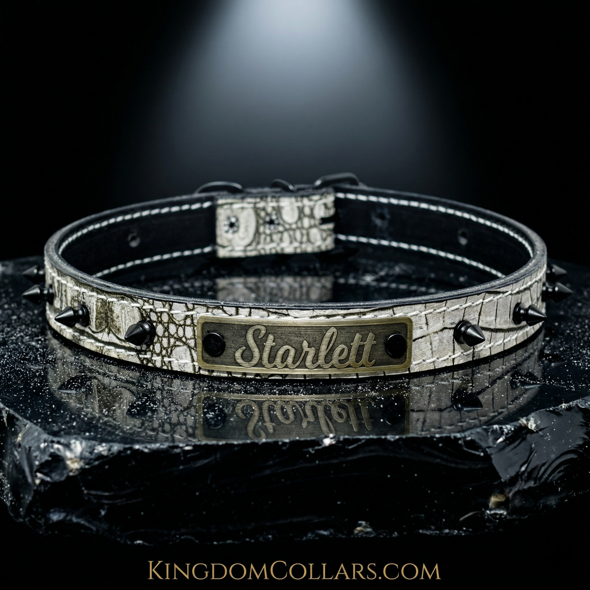 Leather collar with decorative elements on a reflective surface
