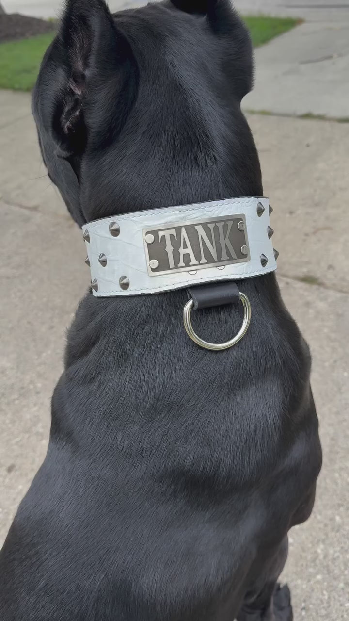NX33 - 2.5"–3" Wide Personalized Italian Leather Studded Dog Collar | Cone Studs