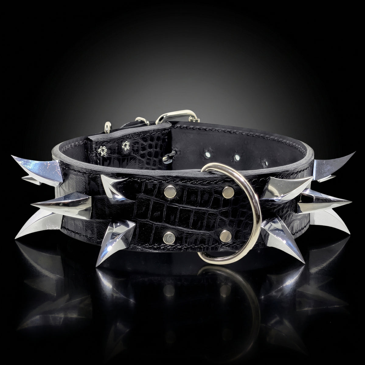A black crocodile-embossed leather collar with sharp silver metal spikes and a large silver D-ring buckle, displayed on a reflective black surface.