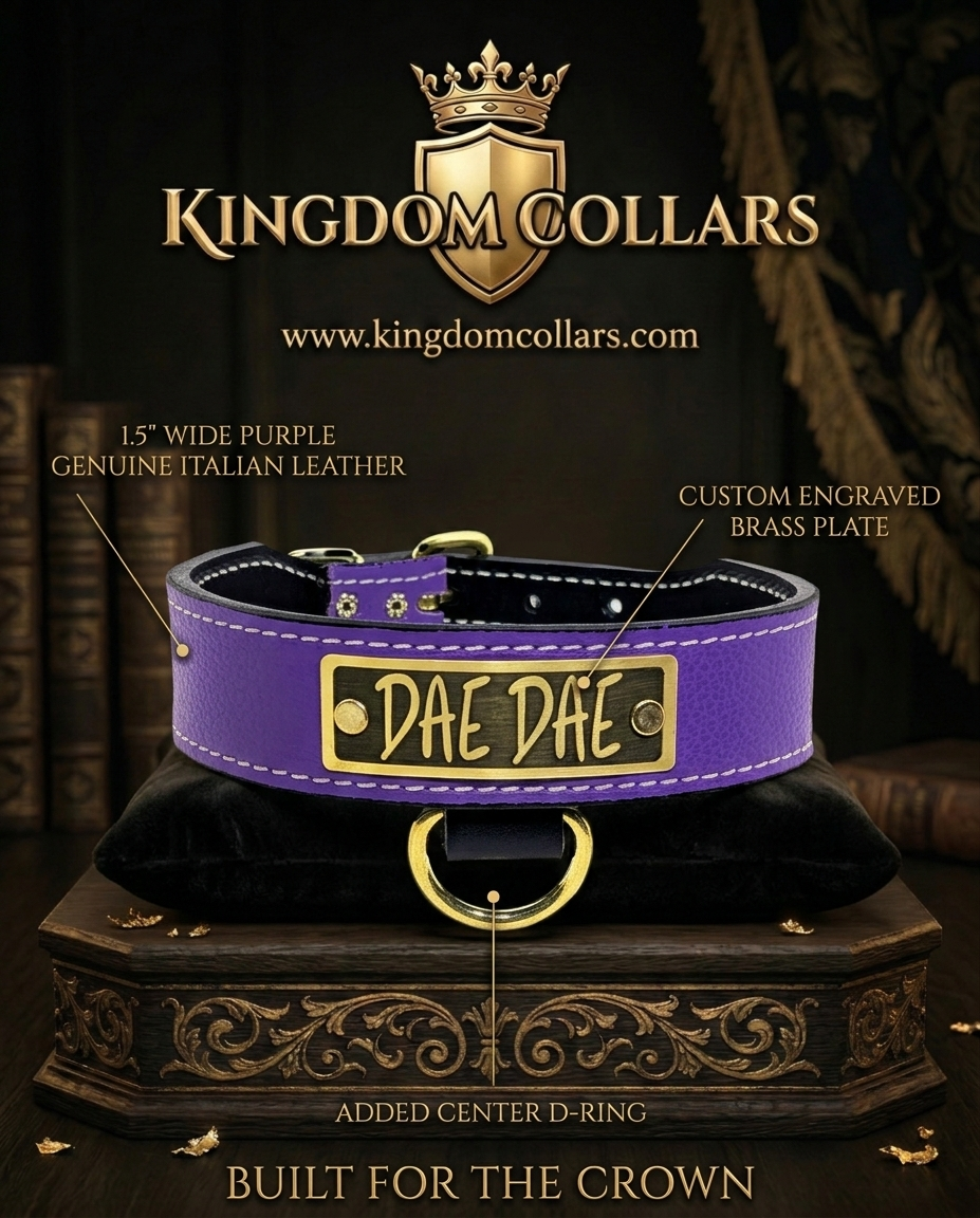 TN7 - 1.5" Wide Personalized Tapered Leather Dog Collar
