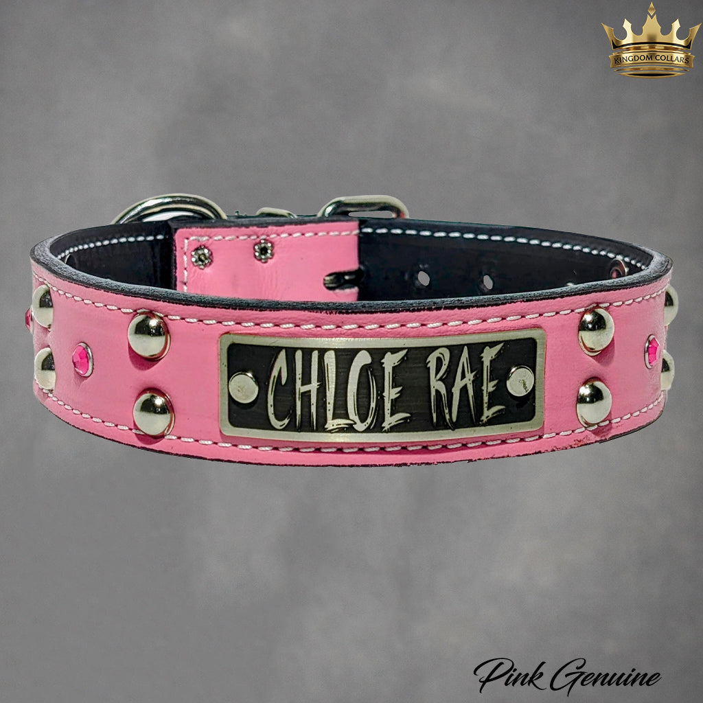 V20 - Coleira personalizada de 1 1/2" com tachas e pedras preciosas