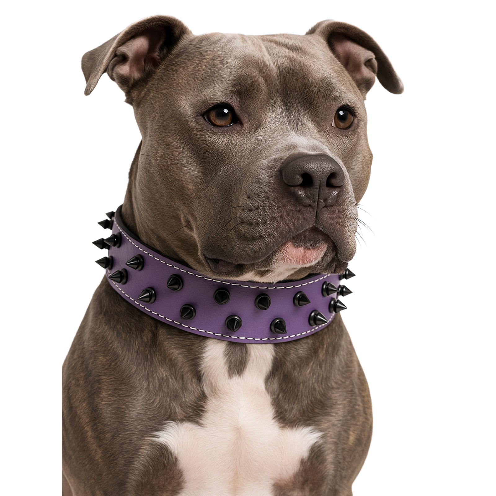 V37 - Collar de cuero con pinchos para perros de 1,5" 