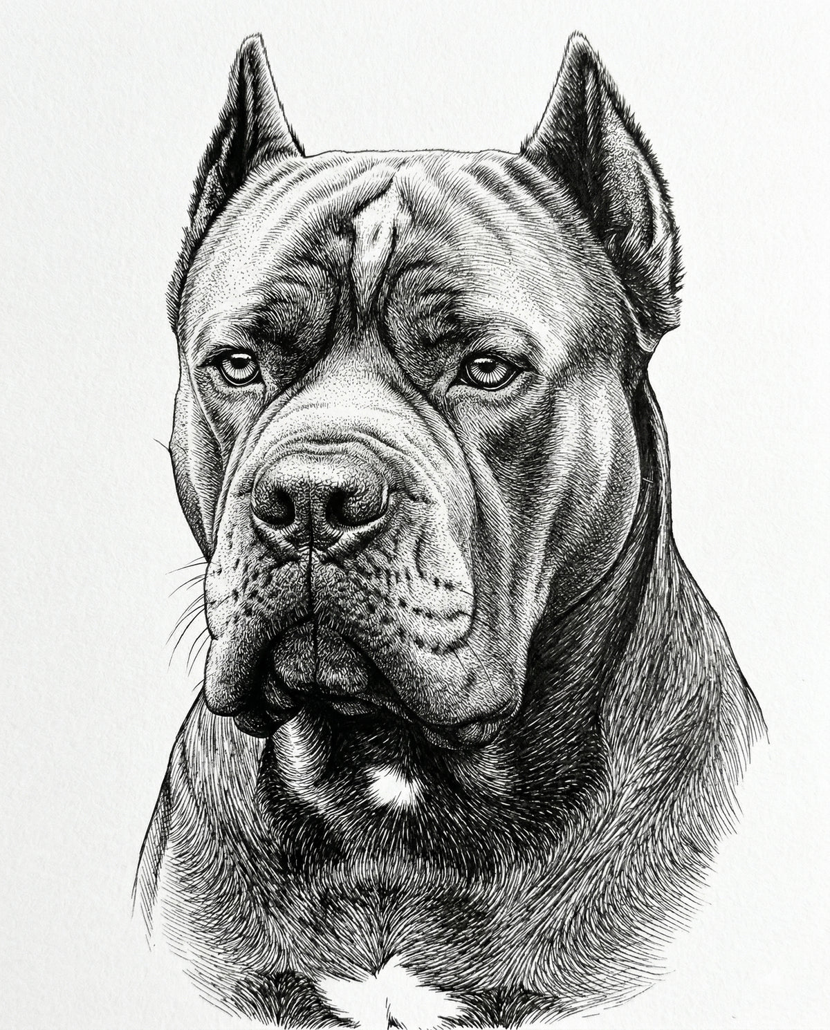 Custom Pen &amp; Ink Dog Portrait | Personalized Digital Pet Artwork