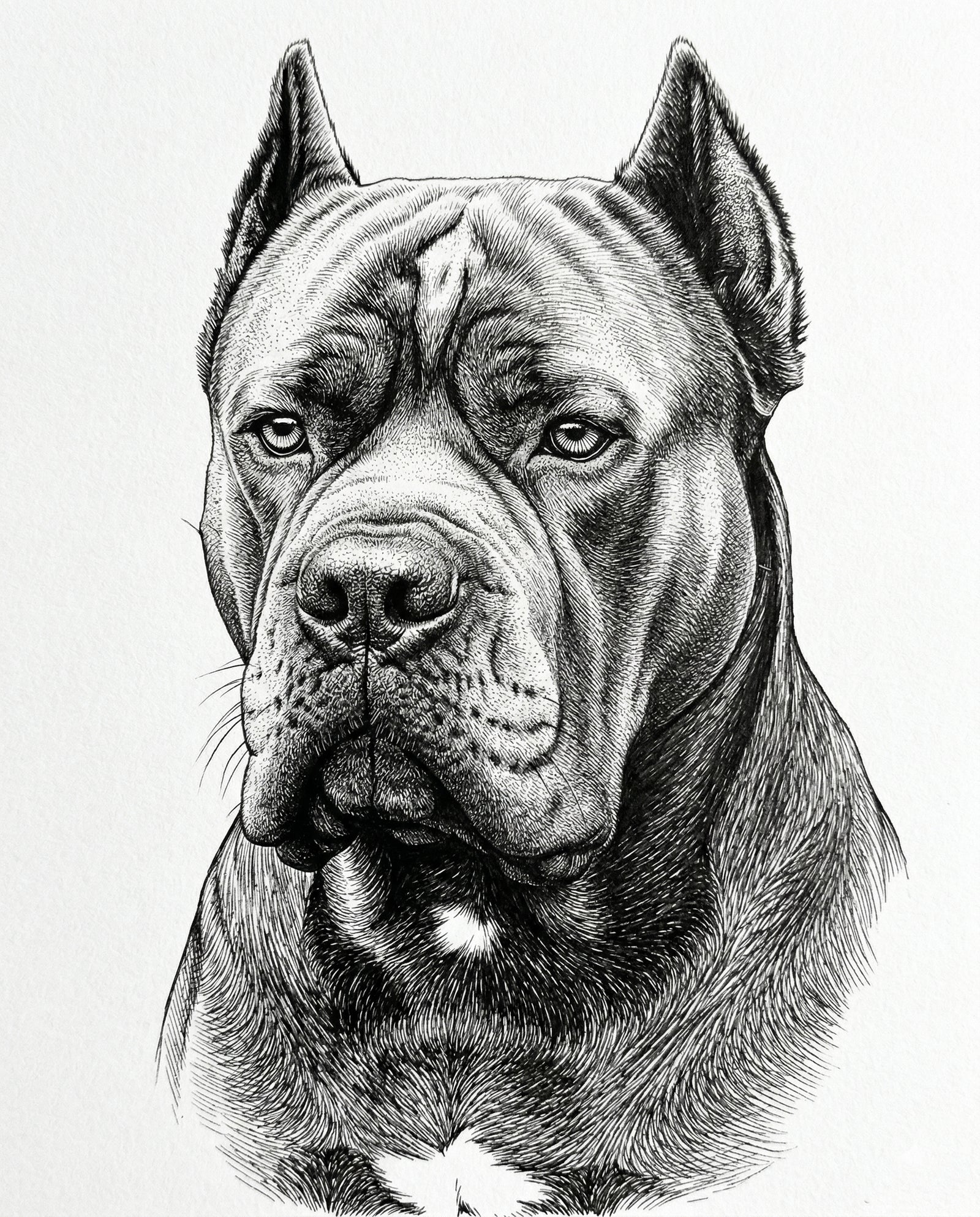 Custom Pen & Ink Dog Portrait | Personalized Digital Pet Artwork