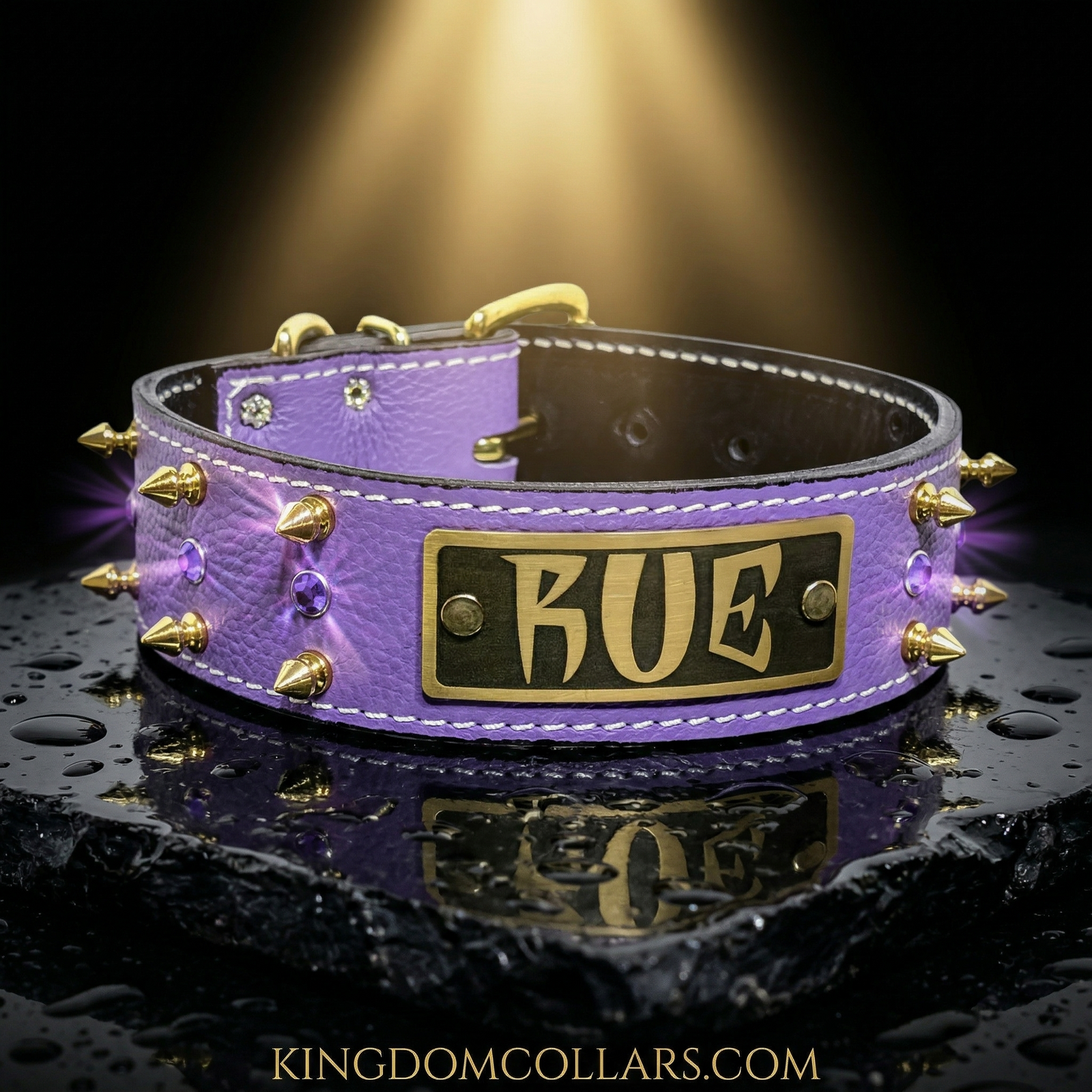 W11 – 2" Wide Personalized Italian Leather Spiked & Gem Dog Collar | Engraved Name Plate