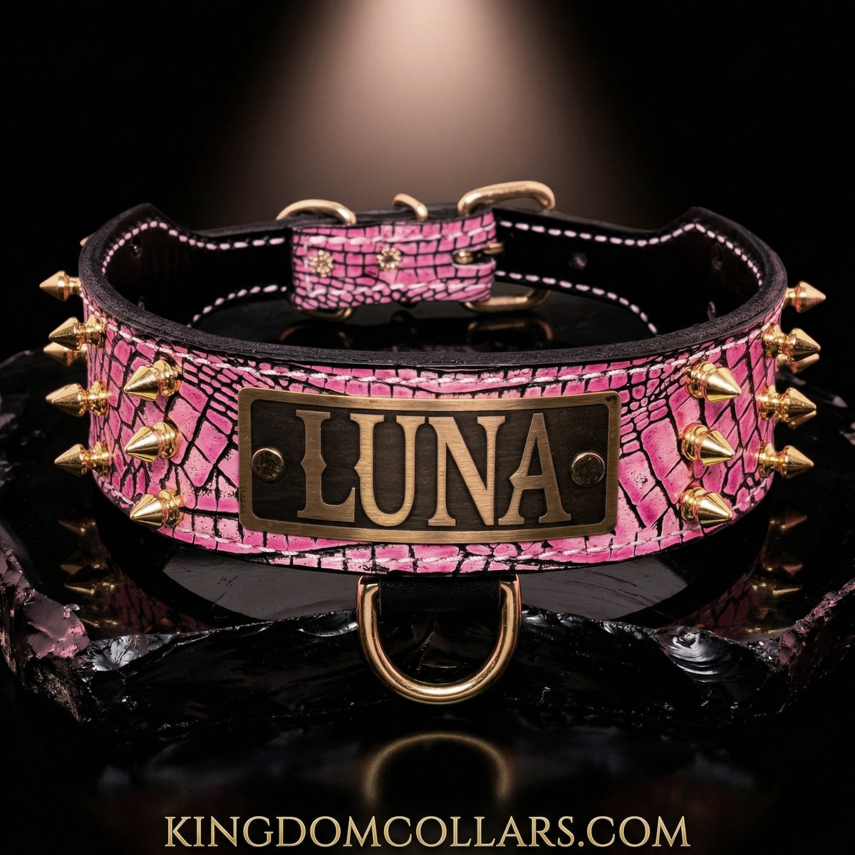 Pink dog collar with gold spikes and 'LUNA' tag on a dark background