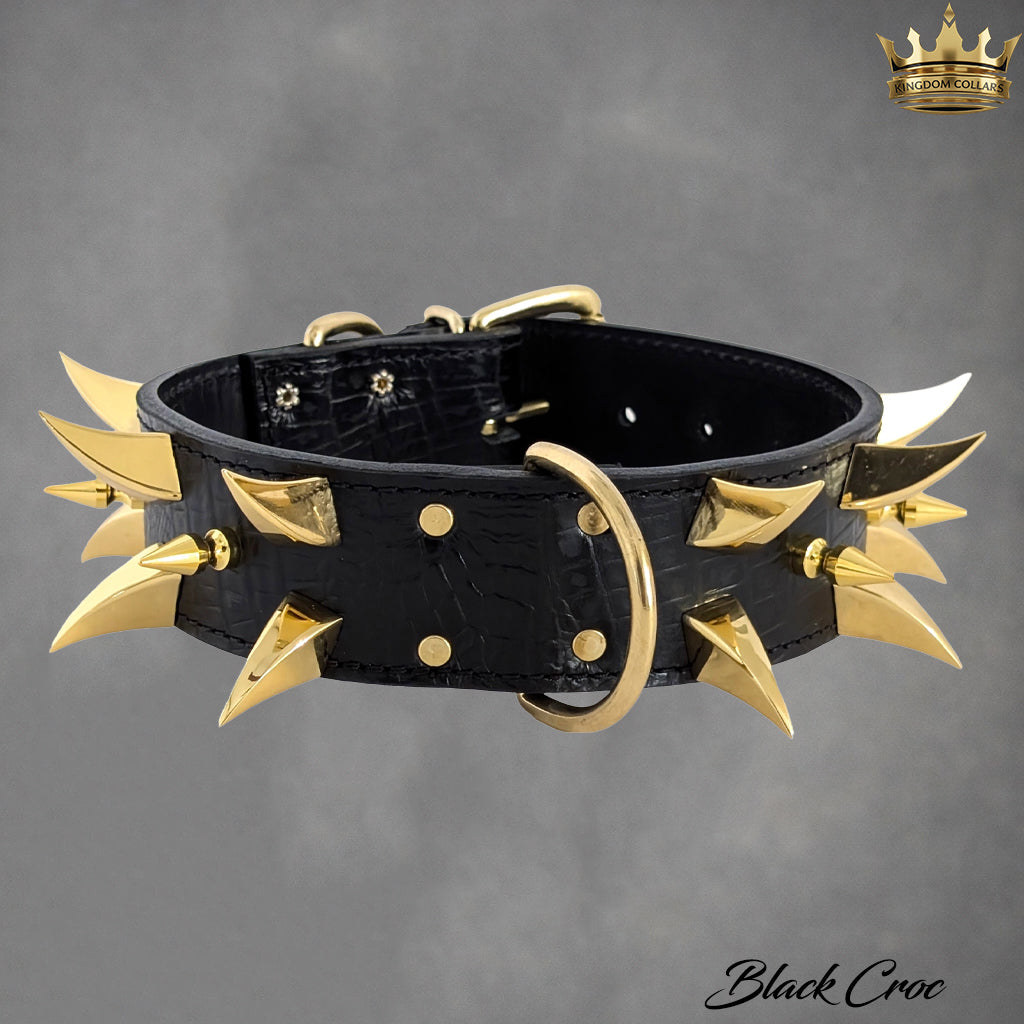 W2 - Collar de cuero con pinchos para perros de 2" de ancho
