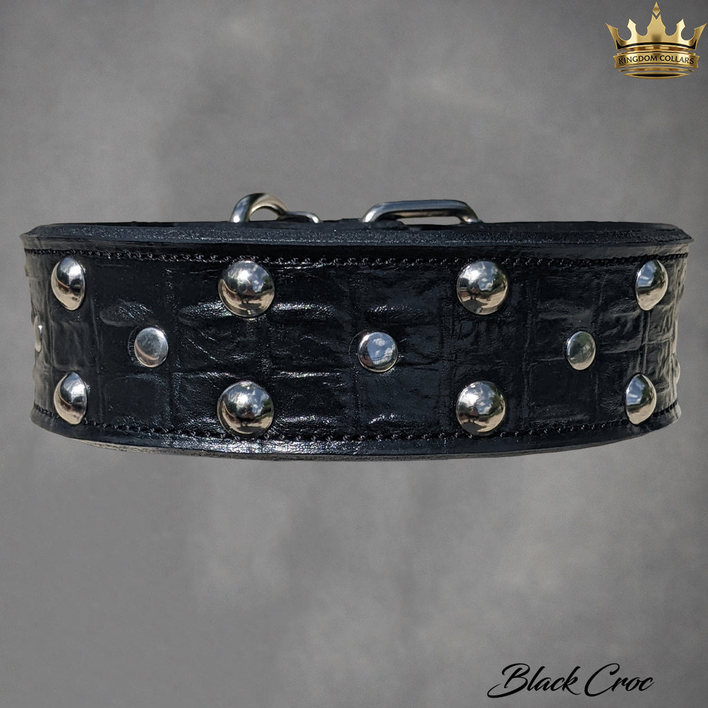 2" Wide Studded Italian Leather Dog Collar | Dome Studs & Rivets