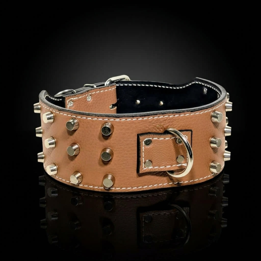 A tan leather dog collar with silver metal studs and a D-ring buckle, displayed on a reflective black background.