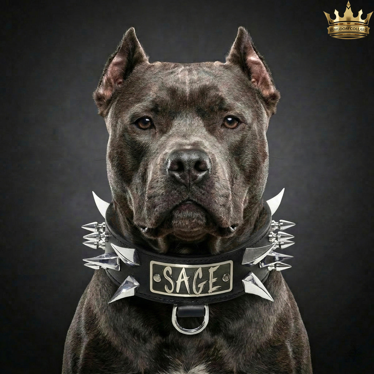 2" Wide Personalized Italian Leather Spiked Dog Collar | Dragon Claw & Tree Spikes | Engraved Name Plate