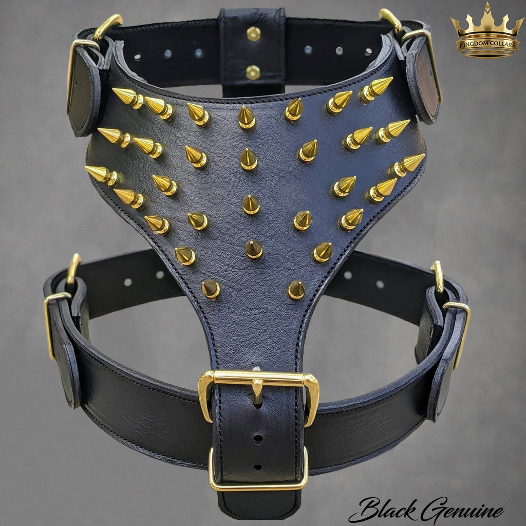 Italian Leather Spiked Dog Harness | 1" Tree Spikes