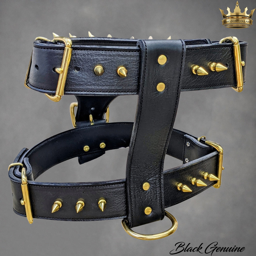 Italian Leather Spiked Dog Harness | 1" Tree Spikes