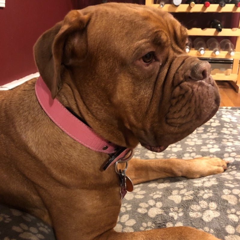 U99 - 1" Wide Custom Leather Dog Collar