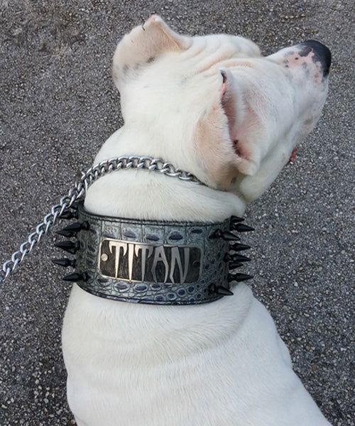 NX2 - Custom Made 3" Wide personalized Italian Leather Spiked Dog Collar