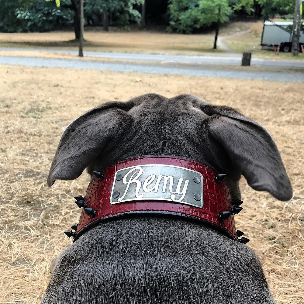 NX1 - Collar de cuero con pinchos y placa de identificación personalizada para perros - 3" de ancho