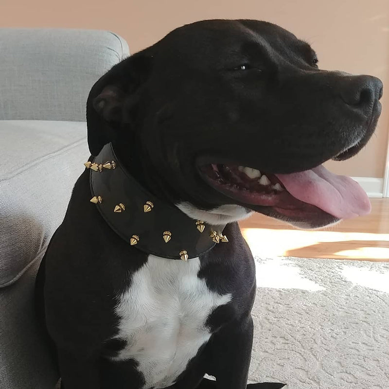 X10 - 3" Spiked Leather Dog Collar