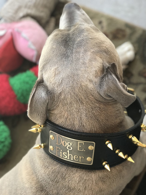 NX2 - Custom Made 3" Wide personalized Italian Leather Spiked Dog Collar