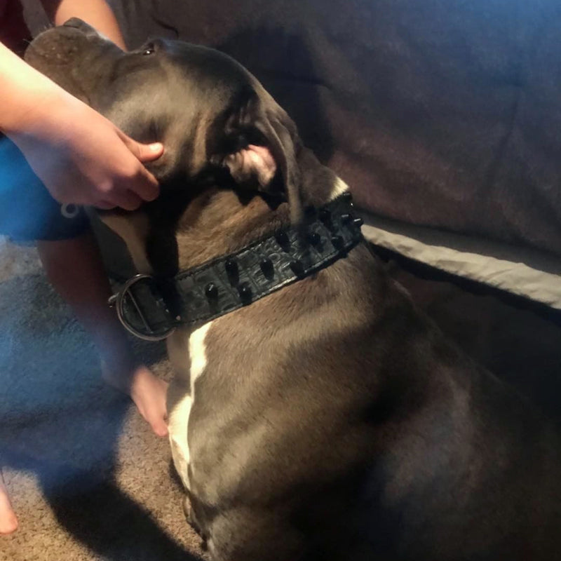 V37 - Collar de cuero con pinchos para perros de 1,5" 