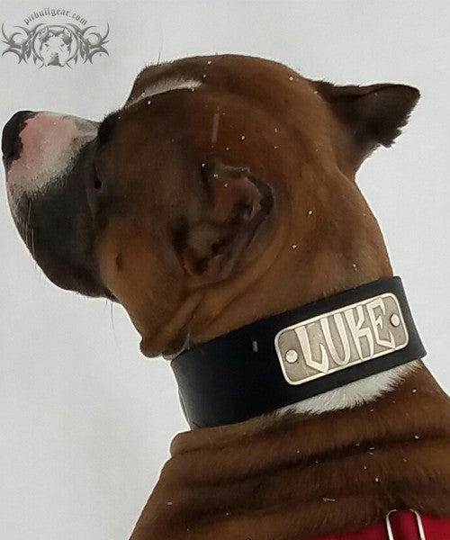 N15 - Collar de cuero para perros de 2" de ancho con placa de identificación