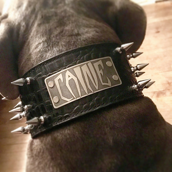 NX2 - Custom Made 3" Wide personalized Italian Leather Spiked Dog Collar