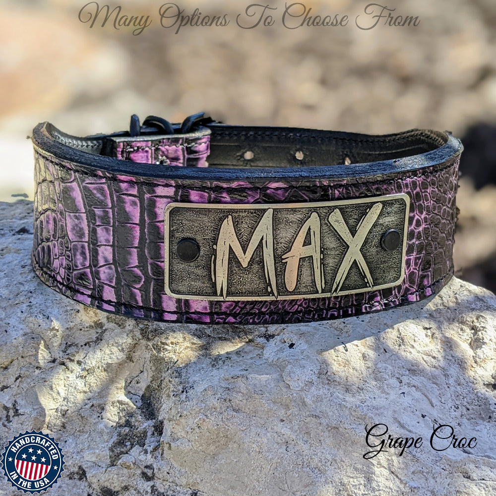 TW42 - Collar con placa de identificación de cuero cónico de 2"