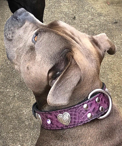 V28 - Collar de cuero con corazones y gemas de 1 1/2"