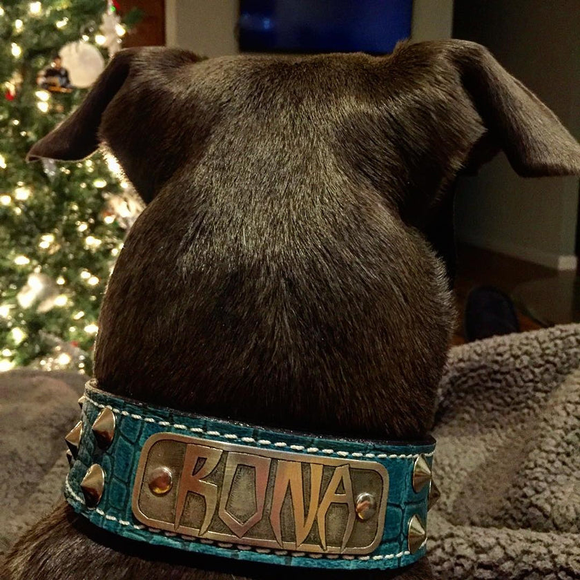 VN1 - 1.5" Wide Personalized Leather Dog Collar with Cone Studs