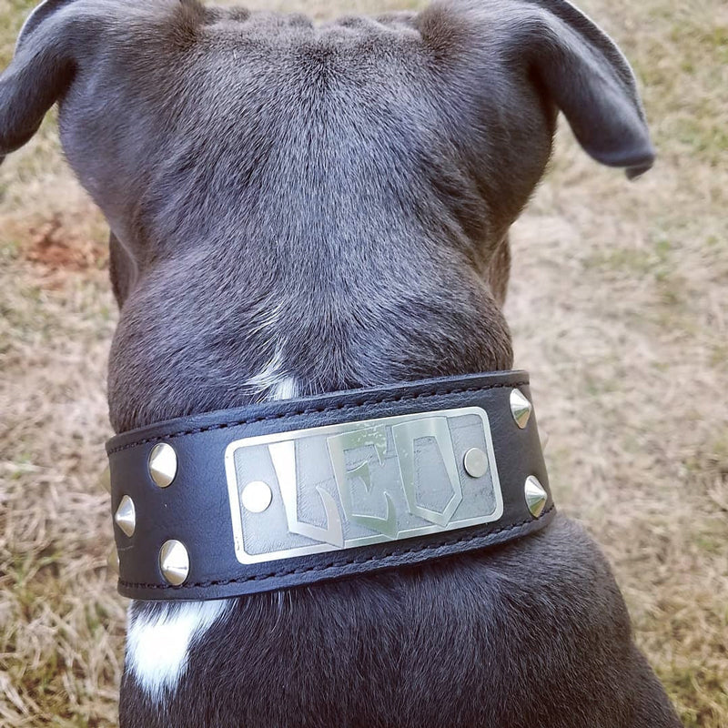 VN1 - 1.5" Wide Personalized Leather Dog Collar with Cone Studs