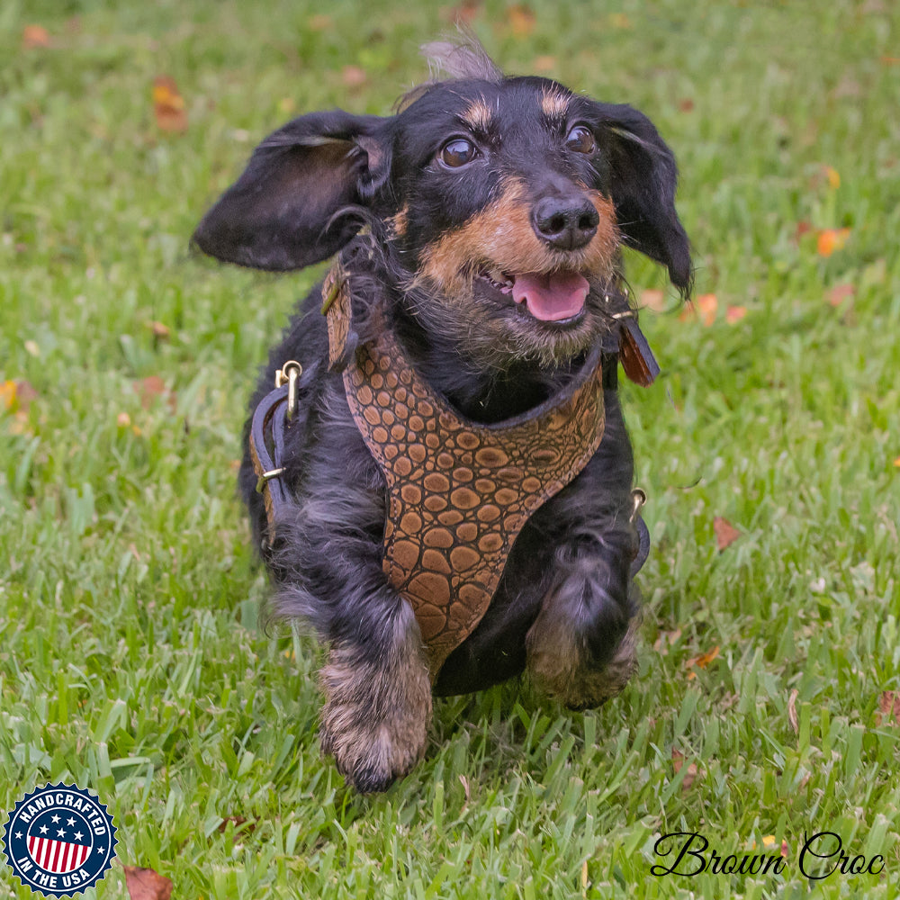 SCH - Sport Cut Leather Dog Harness