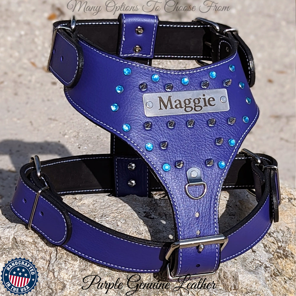 NH6 - Leather Dog Harness Personalized Name Plate Gems & Spikes